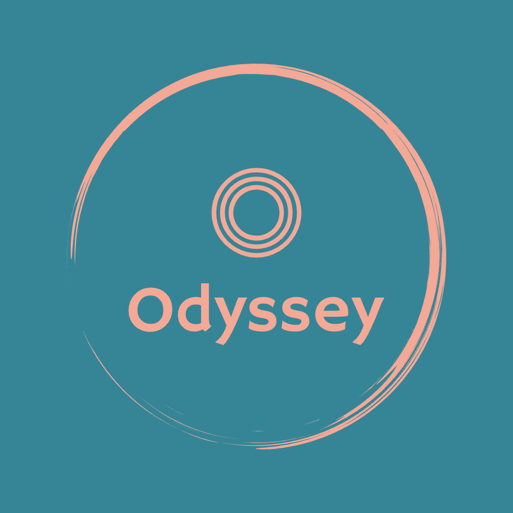 odysseysystemsgroup.co.uk
